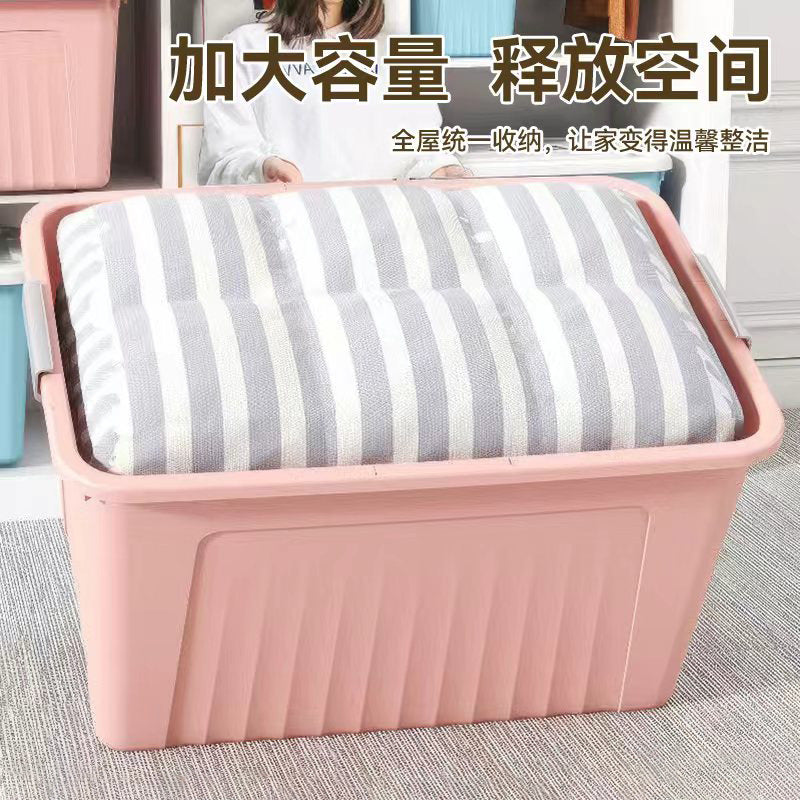 c435c6db-3b6b-492e-a0d9-1cfaeb0cd244
