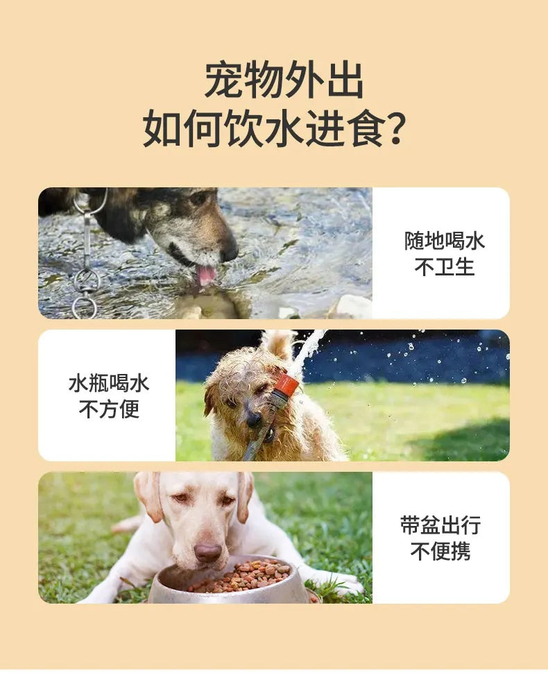 fde64549-c78d-4e89-809b-0cb7f9e7c6dc