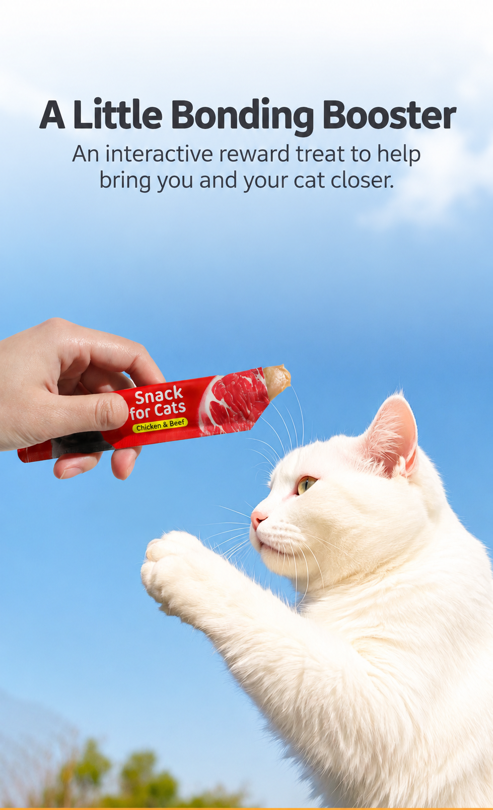 Wholesale beef-flavored cat treats for foreign trade, nutritional strips for kitten weight gain, pet food, cat fish oil wet food packs