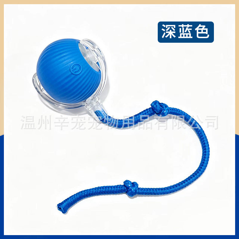 37c3334c-0580-436d-9067-abd90178563e