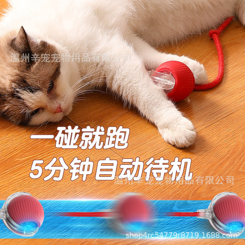 3674bfbc-5b1c-44d8-95f3-a100a09505d7
