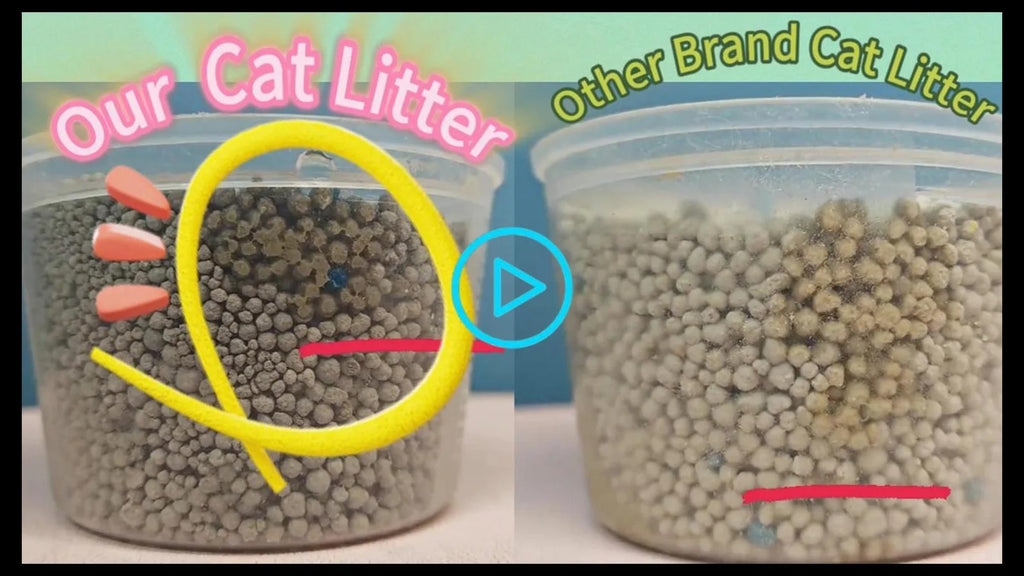 4e7b47be-a6cd-4c84-b317-b9cefbffb424